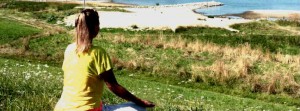Yoga für Anfänger - Rishikesh Reihe / Yoga-Vidya