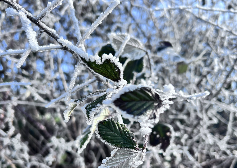 Submodalitaeten - NLP-Coaching | YOGAPS